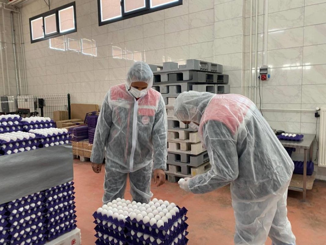 Afyon’da Yumurta İşletmelerine Sıkı Denetim