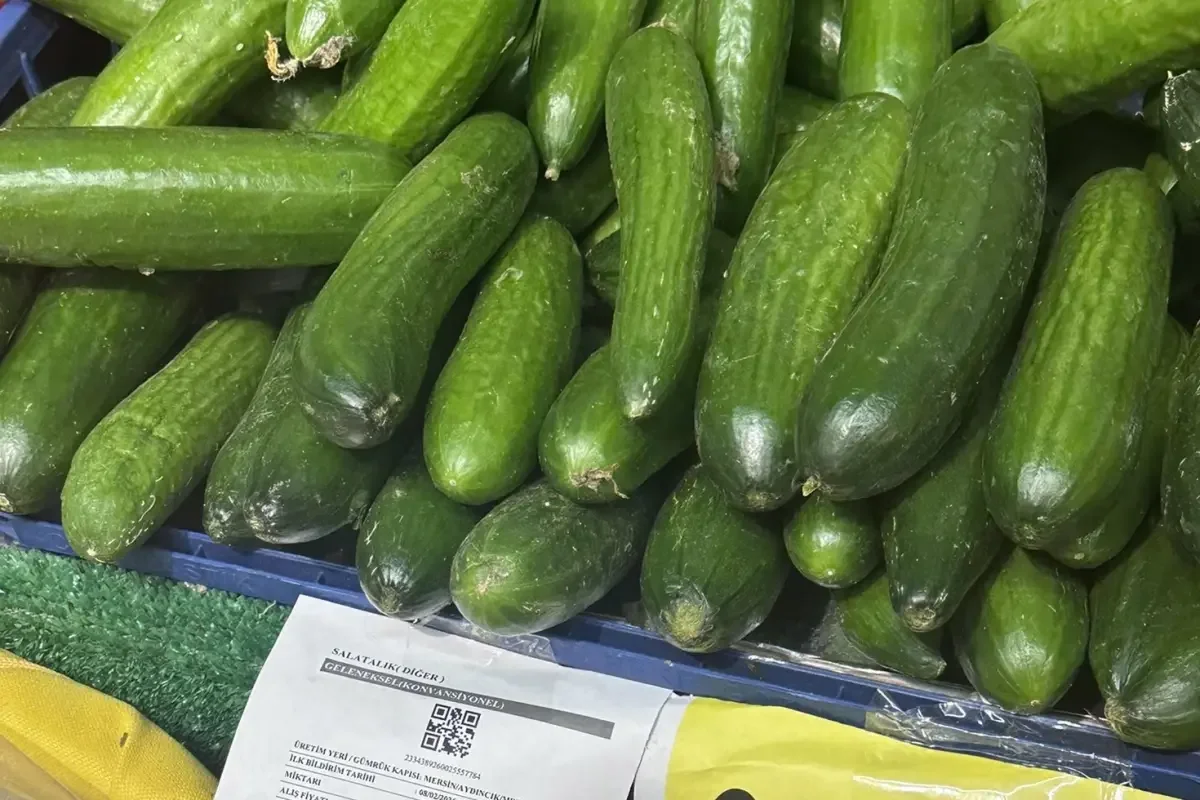 Zincir Markette Fiyat Tartışması: Salatalık Etiketi Tepki Çekti