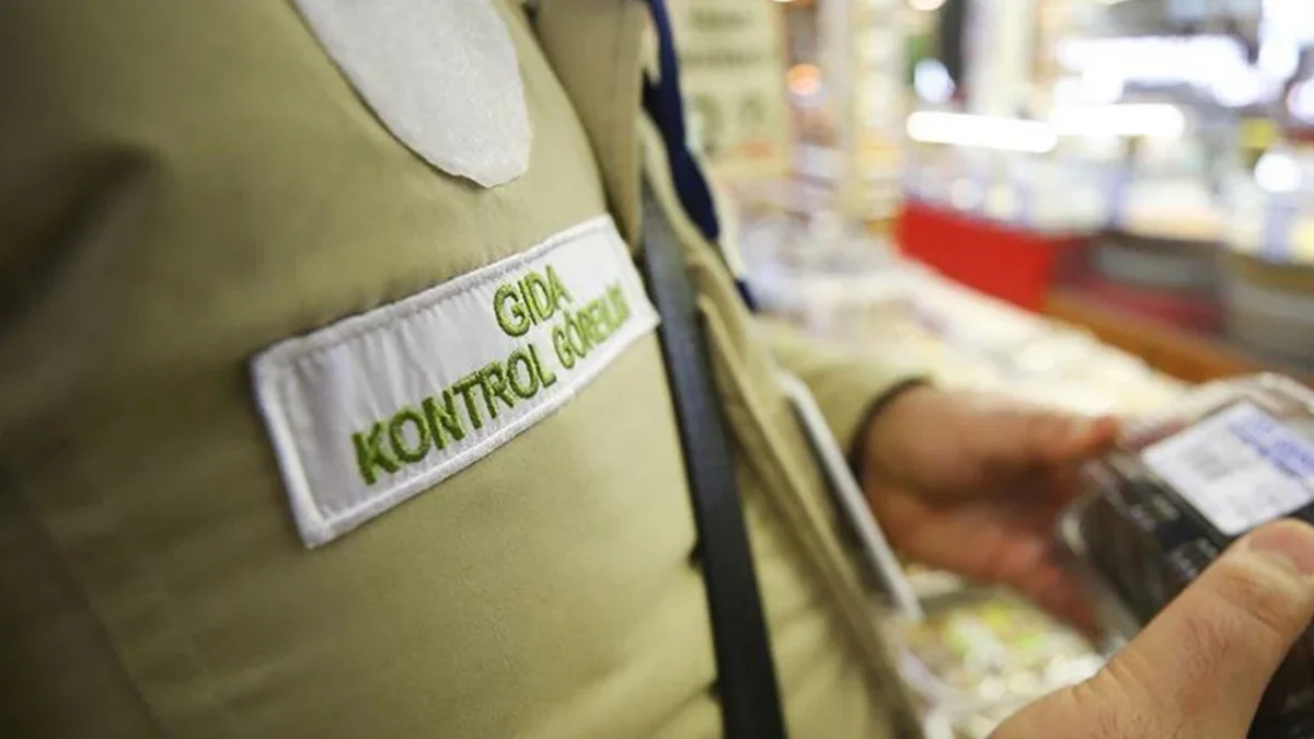 Bu ürünleri evinize sokarken dikkat