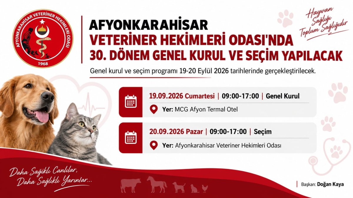Seçim Heyecanı