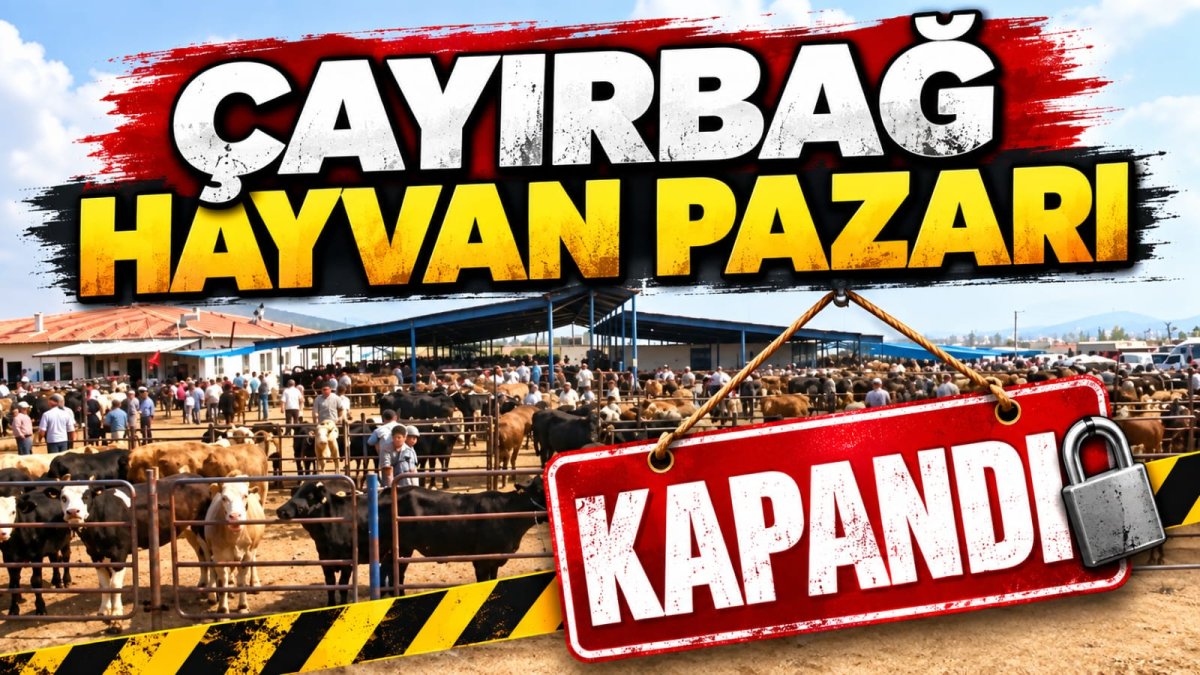 Şap 