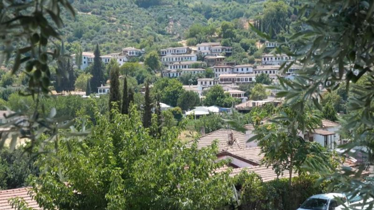 Türkiye'nin en ilginç köy isimleri: Panik, Dertli, Sinek