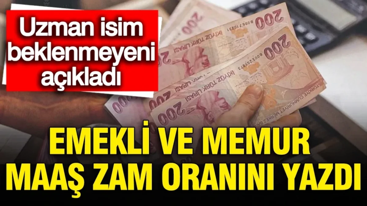 Uzman isim emekli ve memur maaş zam oranını köşesinde yazdı
