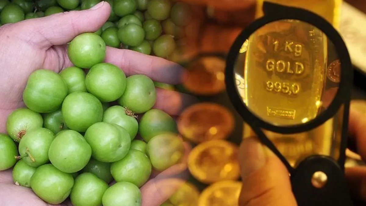 Yeşil erik gram altını geçti: Kilosu 9 bin lira