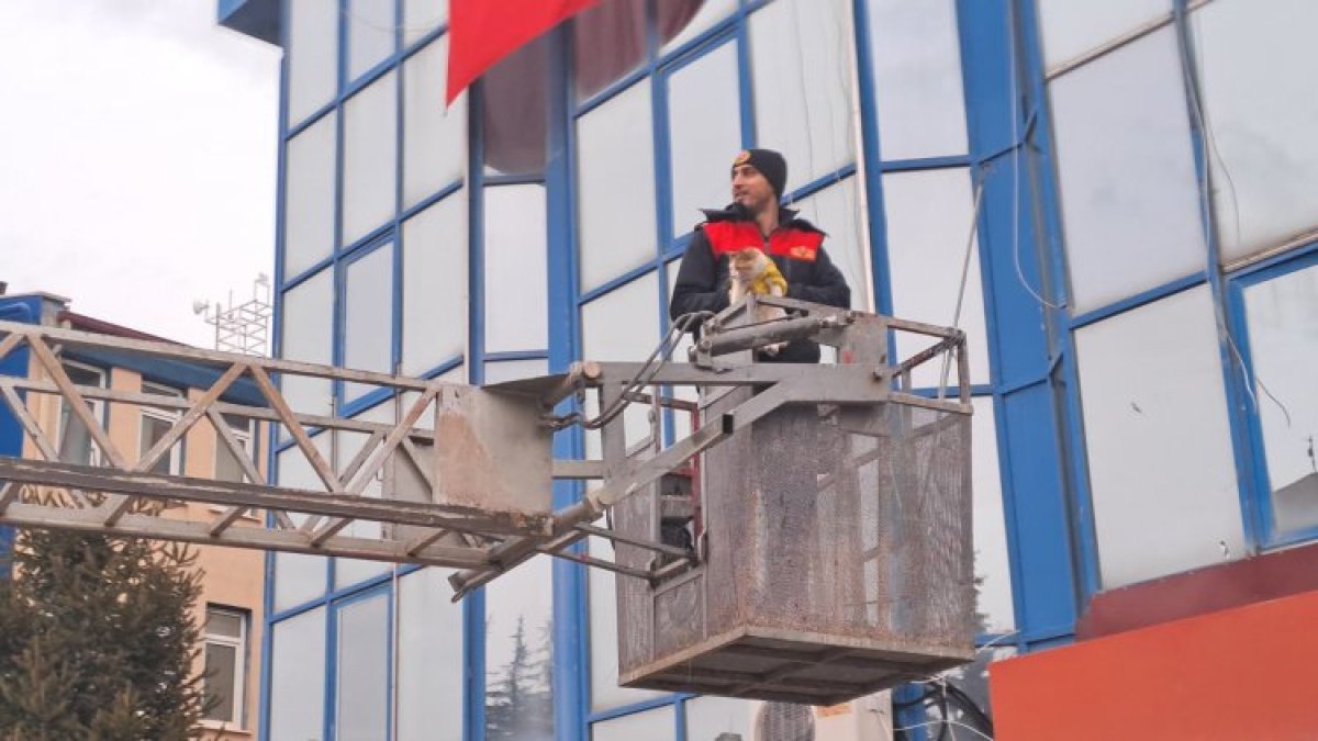 Küçük bir can, büyük bir müdahale